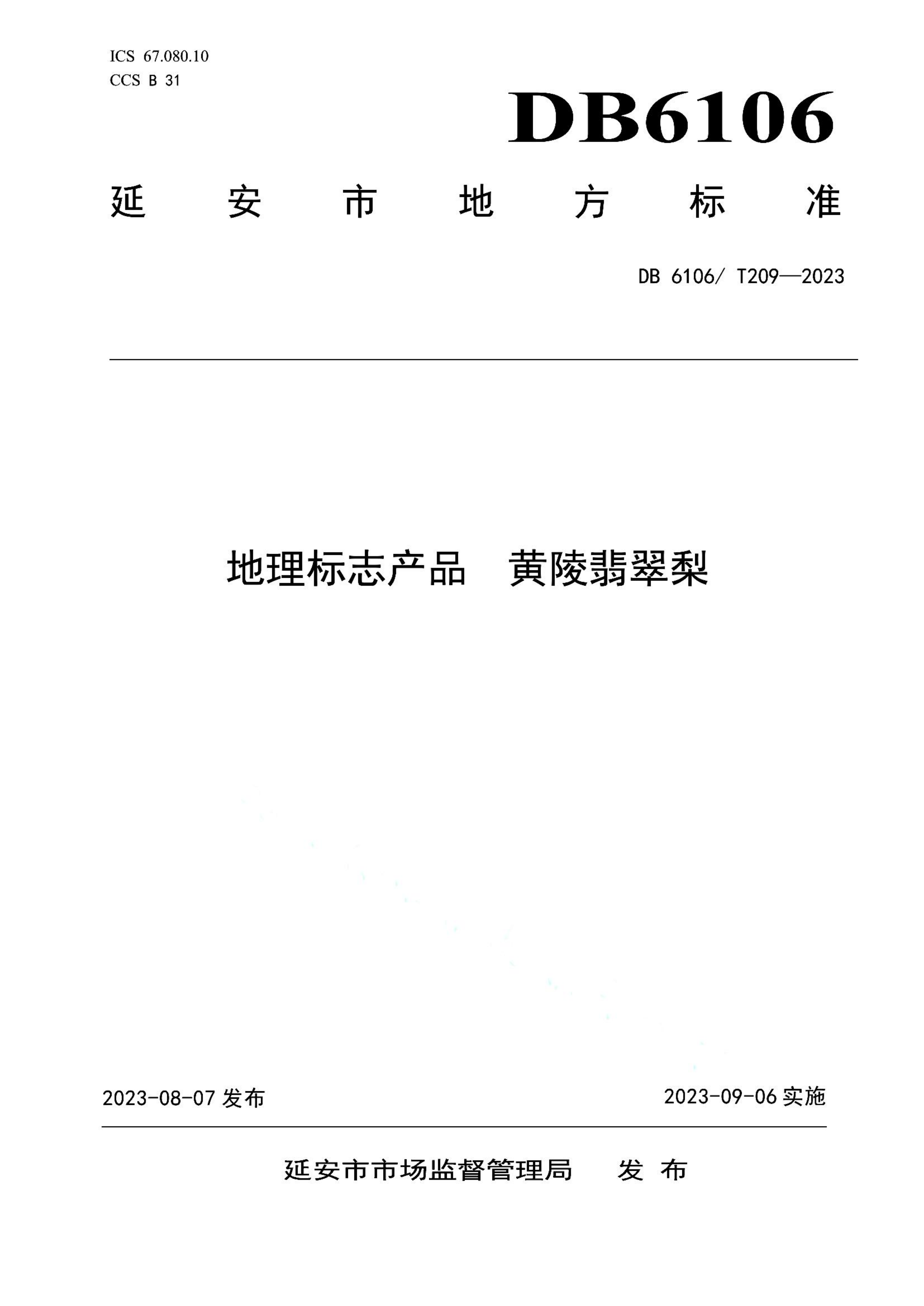 资源详情图
